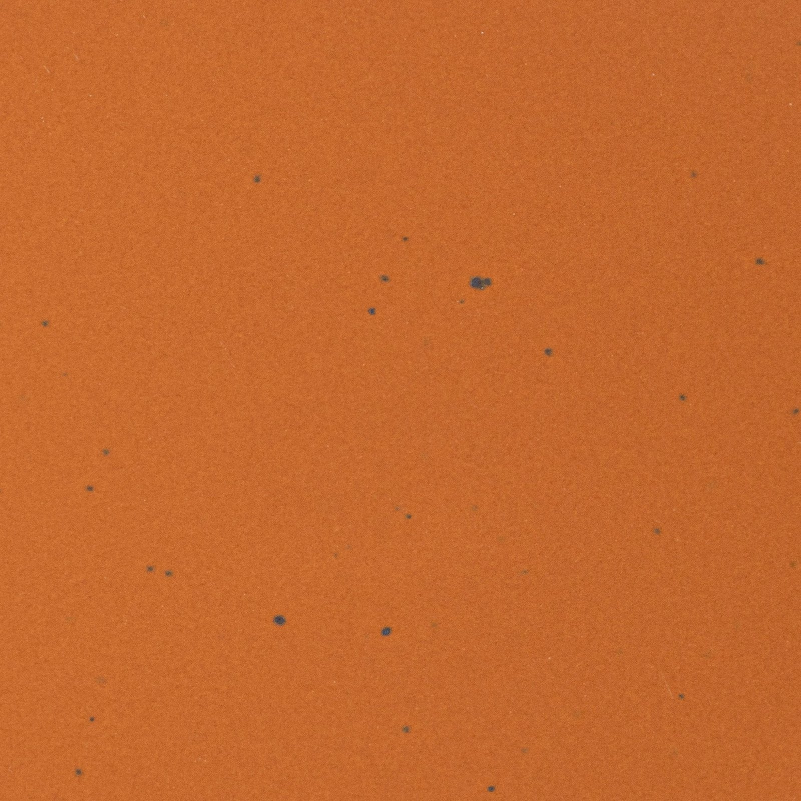 Soup Bowl — Ember