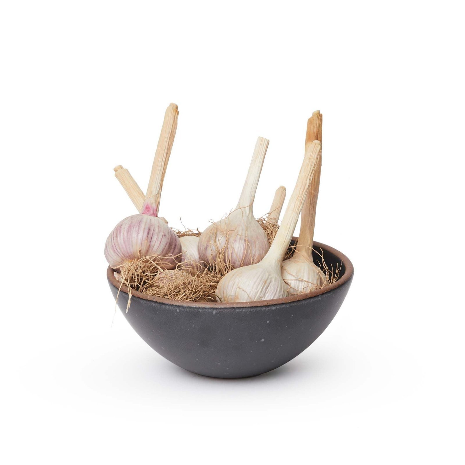Soup Bowl — Graphite