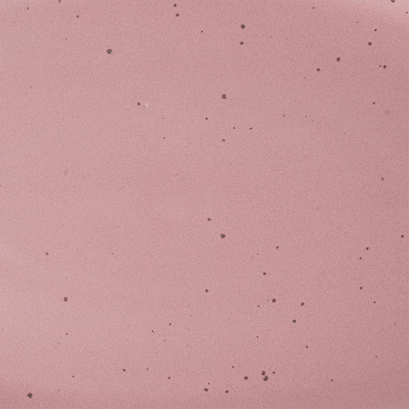 Soup Bowl — Lilac